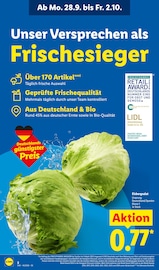 Salat im Lidl Prospekt in Reutlingen Aktueller Lidl Prospekt mit Salat, "LIDL LOHNT SICH", Seite 2
