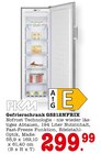 Gefrierschrank GS212NFRIX Angebote von PKM bei E center Baden-Baden für 299,99 €