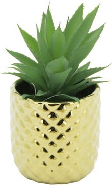 Succulente artificielle en pot 17 cm doré en céramique - Géant Casino à Paris Succulente artificielle en pot 17 cm doré en céramique en promo chez Géant Casino Paris à 7,50 €