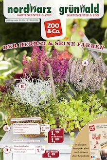 Garten-Center Nordharz GmbH & Co. KG Prospekt DER HERBST & SEINE FARBEN mit 16 Seiten