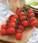 Tomate Cerise Grappe - U en promo chez Super U Noisy-le-Grand à 2,99 €