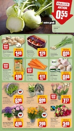 Aktueller REWE Prospekt mit Orchidee, "Dein Markt", Seite 9