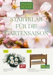 Aktueller Pflanzen Kölle Garten & Pflanzen Prospekt für Kirchheim: STARTKLAR FÜR DIE GARTENSAISON mit 2 Seiten, 23.03.2026 - 29.03.2026