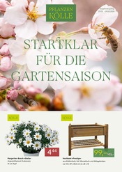 Pflanzen Kölle Garten & Pflanzen Prospekt der aktuellen Woche mit 2 Seiten, gültig von 23.03.2026 bis 29.03.2026, in Kiedrich und Umgebung Aktueller Pflanzen Kölle Garten & Pflanzen Prospekt in Kiedrich und Umgebung, "STARTKLAR FÜR DIE GARTENSAISON" mit 2 Seiten, 23.03.2026 - 29.03.2026