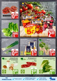 EDEKA Salat im Prospekt 