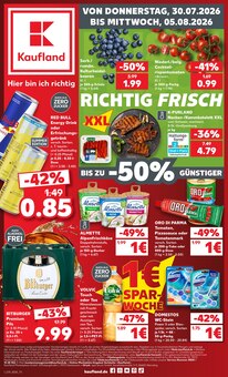 Aktueller Kaufland Prospekt für Burtenbach und Ungebung, Seiten zum blättern Kaufland Prospekt Hier bin ich richtig mit Seiten in Burtenbach und Umgebung