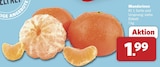 Mandarinen bei combi im Weener Prospekt für 1,99 €