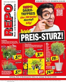 Repo Prospekt der Woche "Aktuelle Angebote" Seite 1, 23.06.2025 bis 28.06.2025 für Ueckermünde Aktueller Repo Prospekt "Aktuelle Angebote" Seite 1 von 16 Seiten für Ueckermünde