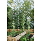 Tuteur spirale pour tomate - GARDELYS - Carrefour à Versailles Tuteur spirale pour tomate - GARDELYS en promo chez Carrefour Versailles à 1,70 €