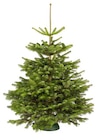 Weihnachtsbaum gesägt im aktuellen Prospekt bei hagebau kompakt in Eschlkam
