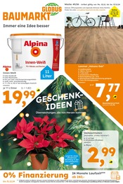 Aktueller Globus-Baumarkt Prospekt mit Weihnachtsstern, "Immer eine Idee besser", Seite 1