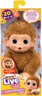 Mon Bébé Singe MNI en promo chez Intermarché Hyper Mon Bébé Singe MNI dans le catalogue Intermarché Hyper