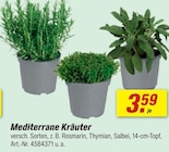 toom Baumarkt Villingen-Schwenningen - Mediterrane Kräuter Angebot im Prospekt Mediterrane Kräuter bei toom Baumarkt im Villingen-Schwenningen Prospekt für 3,59 €