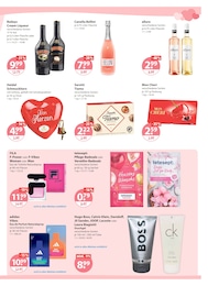 V-Markt Uhren im Prospekt 