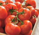 Intermarché Super Doué-la-Fontaine - Promo Tomate ronde en grappe Promo Tomate ronde en grappe à 1,49 € dans le catalogue Intermarché Super à Doué-la-Fontaine