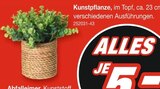 Kunstpflanze bei Möbel AS im Stockach Prospekt für 5,00 €
