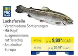 Aktuelles Lachsforelle Angebot bei METRO in Bochum ab 10,69 €