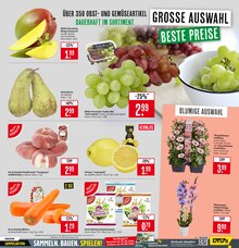 Gemüse im Marktkauf Prospekt "Aktuelle Angebote" mit 55 Seiten (Freiburg (Breisgau))