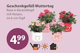 Geschenkgefäß Muttertag von  im aktuellen V-Markt Prospekt für 4,99 €