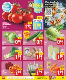 Pflanzen Angebot & Preis im aktuellen EDEKA Prospekt Pflanzen Angebot im aktuellen EDEKA Prospekt auf Seite 3
