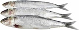 Aktuelles Sardinen Angebot bei E center in Mainz ab 0,99 €