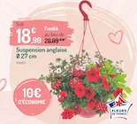 Suspension anglaise - Botanic à Saint-Maur-des-Fossés Suspension anglaise en promo chez Botanic Saint-Maur-des-Fossés à 18,99 €