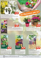 Aktueller Raiffeisen Rhein-Ahr-Eifel Handelsgesellschaft mbH Prospekt mit Pflanzen, "Frühlingsfrisch in die Gartensaison", Seite 2