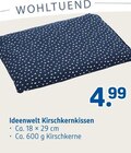 Kirschkernkissen von Ideenwelt im aktuellen Rossmann Prospekt