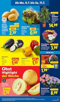 Hortensie im Lidl Prospekt "LIDL LOHNT SICH" mit 62 Seiten (Dresden)