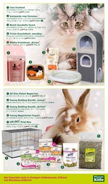 Katzenfutter Angebot & Preis im aktuellen Pflanzen Kölle Prospekt Katzenfutter Angebot im aktuellen Pflanzen Kölle Prospekt auf Seite 13