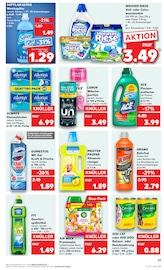 Aktueller Kaufland Prospekt mit Hundefutter, "KNÜLLER", Seite 42