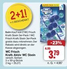 Kraft Aktiv WC Stein im Angebot bei famila Nordwest in Lingen Kraft Aktiv WC Stein Angebote von WC Frisch bei famila Nordwest Lingen für 3,79 €
