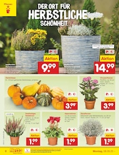 Ähnliche Seniorenhandy Angebote im Prospekt "Aktuelle Angebote" von Netto Marken-Discount in Hamm Ähnliche Angebote wie Seniorenhandy im Prospekt "Aktuelle Angebote" auf Seite 6 von Netto Marken-Discount in Hamm