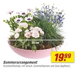 Sommerarrangement  im aktuellen toom Baumarkt Prospekt für 19,99 €
