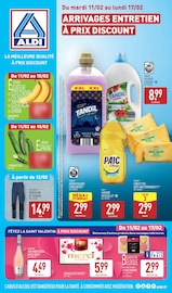 Catalogue Discount Alimentaire Aldi en cours à Fauquembergues et alentours, "ARRIVAGES ENTRETIEN À PRIX DISCOUNT", 46 pages, 11/02/2025 - 17/02/2025