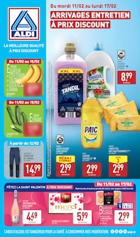 Prospectus Aldi à Limoux, "ARRIVAGES ENTRETIEN À PRIX DISCOUNT", 46 pages de promos valables du 11/02/2025 au 17/02/2025