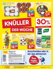 Brötchen im Netto Marken-Discount Prospekt in Rosenheim Aktueller Netto Marken-Discount Prospekt mit Brötchen, "Aktuelle Angebote", Seite 2