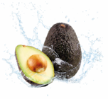 Avocado im Angebot bei Netto Marken-Discount in Homburg Avocado Angebote von Chiquita bei Netto Marken-Discount Homburg für 0,99 €