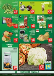 Orchidee im Marktkauf Prospekt in Erlangen Aktueller Marktkauf Prospekt mit Orchidee, "AUSWAHL RIESIG, PREISE NIEDRIG", Seite 9