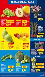 Lidl Weintrauben im Prospekt 