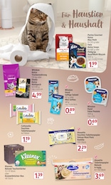 Rossmann Katzenfutter im Prospekt 