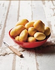 Pomme de terre de consommation a chair ferme - U en promo chez U Express Poitiers à 2,25 €
