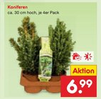 Aktuelle Pflanzen Angebote bei Netto Marken-Discount in Braunschweig Aktuelles Koniferen Angebot bei Netto Marken-Discount in Braunschweig ab 6,99 €