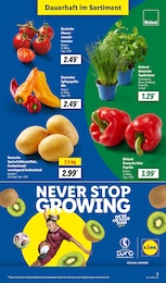 Tomaten Angebot im aktuellen Lidl Prospekt auf Seite 3