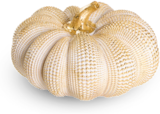Dekokürbisse Angebote bei Woolworth Castrop-Rauxel für 2,00 €