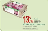 Promo Mélange Bulbes Fleurs Rose à 13,99 € dans le catalogue Botanic à Villeurbanne