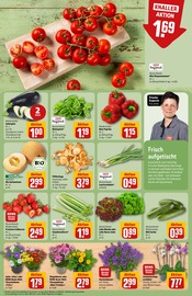 Ähnliche Angebote wie Obstbaum im Prospekt "Dein Markt" auf Seite 7 von REWE in Buxtehude