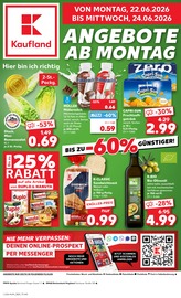 Kaufland Supermarkt Prospekt der aktuellen Woche mit 67 Seiten, gültig von 22.06.2026 bis 24.06.2026, in Reichenbach und Umgebung Aktueller Kaufland Supermarkt Prospekt in Reichenbach und Umgebung, "Hier bin ich richtig" mit 67 Seiten, 22.06.2026 - 24.06.2026