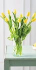 Bouquet de 9 tulipes de glace - U - Super U à Saint-Nazaire Bouquet de 9 tulipes de glace - U en promo chez Super U Saint-Nazaire à 5,99 €