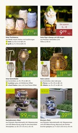 Aktueller Pflanzen Kölle Prospekt mit Laterne, "BLÜHENDE DUFTOASE", Seite 9